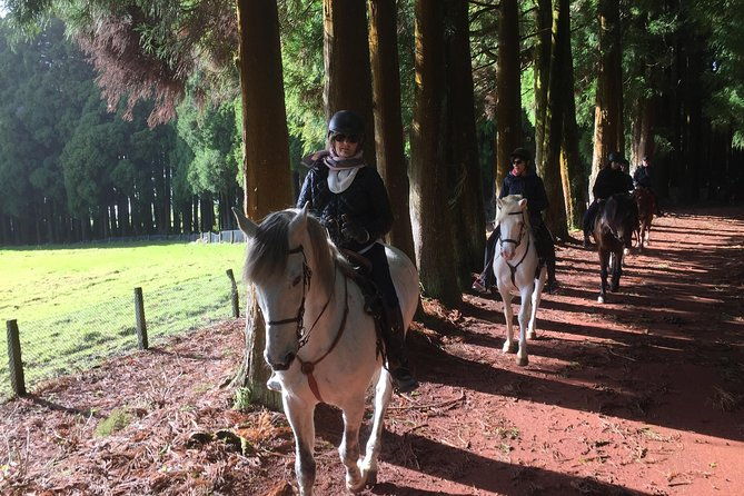 ride-a-volcano-go-to-the-gardens-in-the-woods