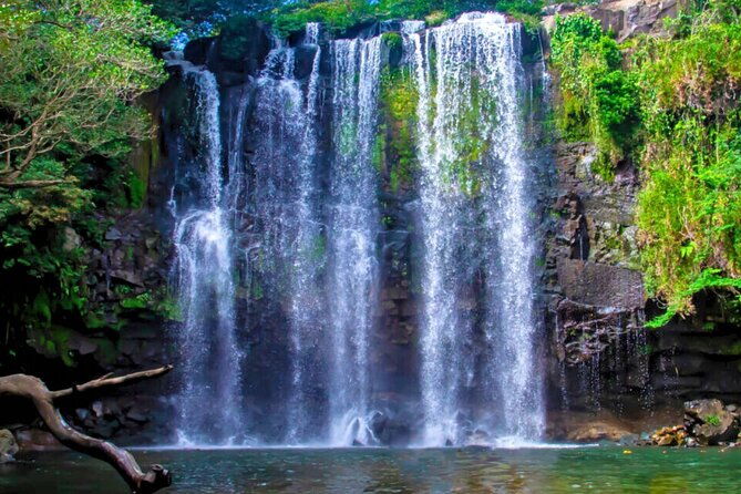 rio-celeste-expedition-discovering-natures-treasures-and-sloths