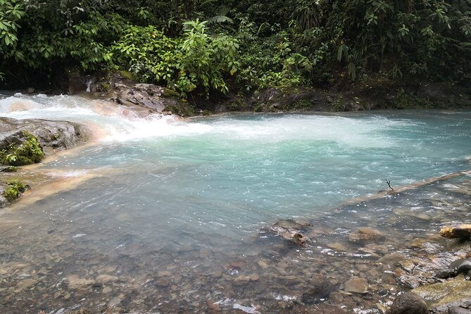 rio-celeste-river-waterfall-hike-and-hot-springs-tour-from-san-jose-costa-rica