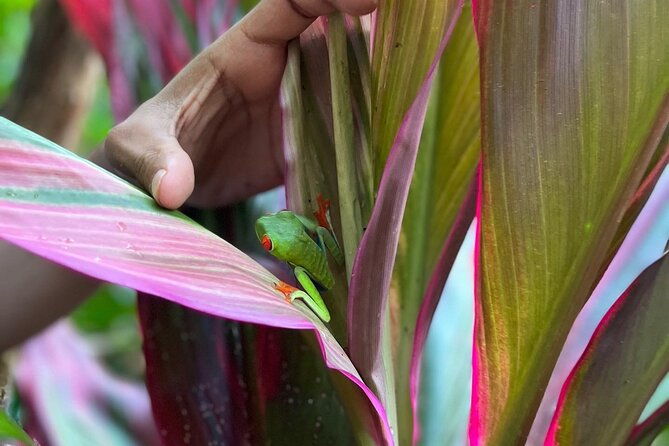 rio-celeste-waterfall-plus-sloths-and-wildlife-sanctuary