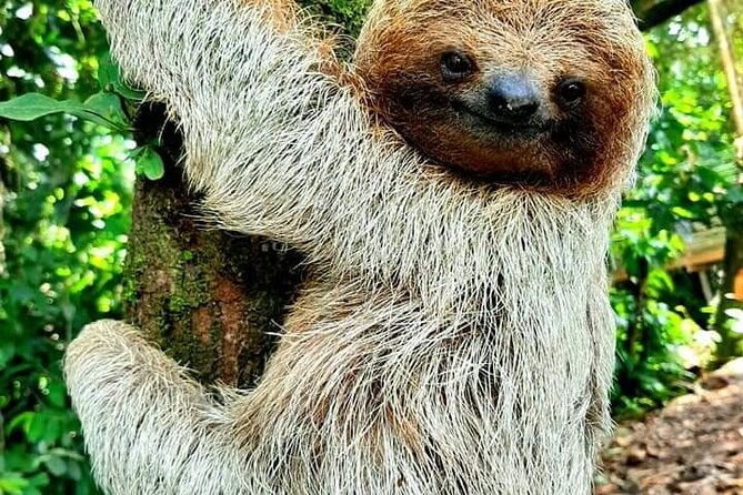 rio-celeste-waterfalls-volcano-and-sloths