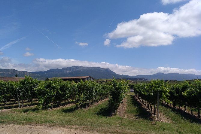 rioja-uncorked-private-enological-adventure