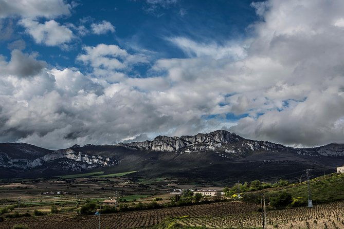 rioja-wine-tour-winery-tasting-lunch-from-san-sebastian