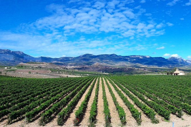 riojas-top-wines-tasting-private-tour
