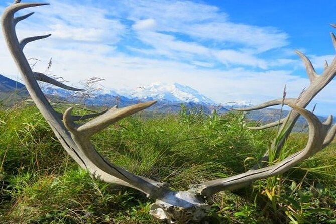 river-rafting-in-alaska-wilderness