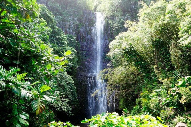 road-to-hana-rainforest-black-sand-beach-waterfalls-lunch-2