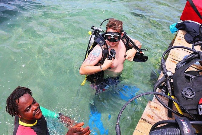 roatan-1-tank-shore-dive-sloth-monkey-park-city-tour-plus-transportation