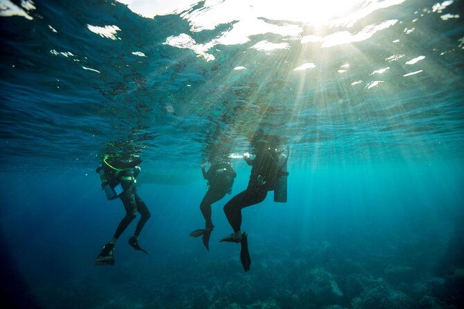 roatan-2-dive-scuba-adventure-for-certified-divers