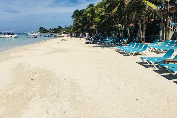 roatan-extreme-zip-line-adventure-with-wildlife-and-snorkel