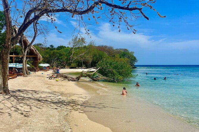 roatan-monkey-and-sloth-sanctuary-and-beach-break
