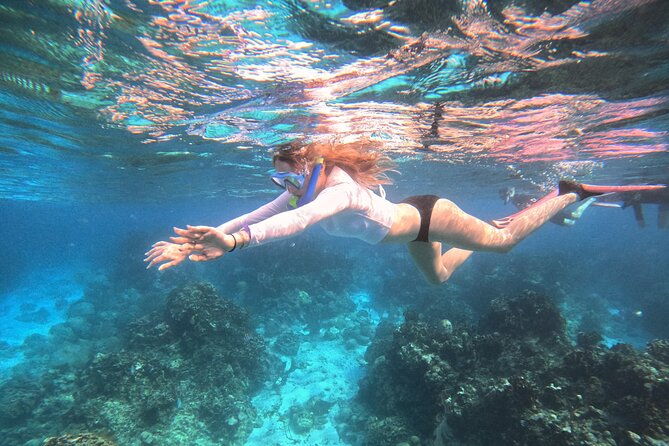 roatan-reef-snorkel-adventure