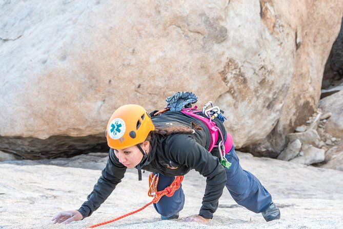 rock-climbing-trips-in-joshua-tree-national-park-6-hours