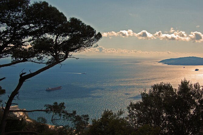 rock-tour-in-gibraltar-by-bus-with-tickets