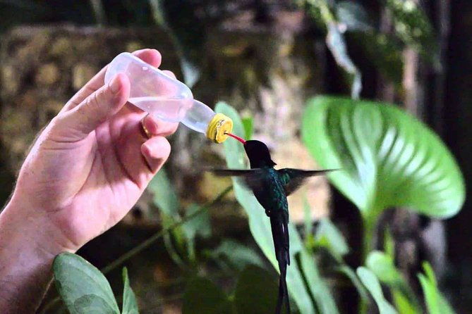 rockland-bird-sanctuary-private-tour-2