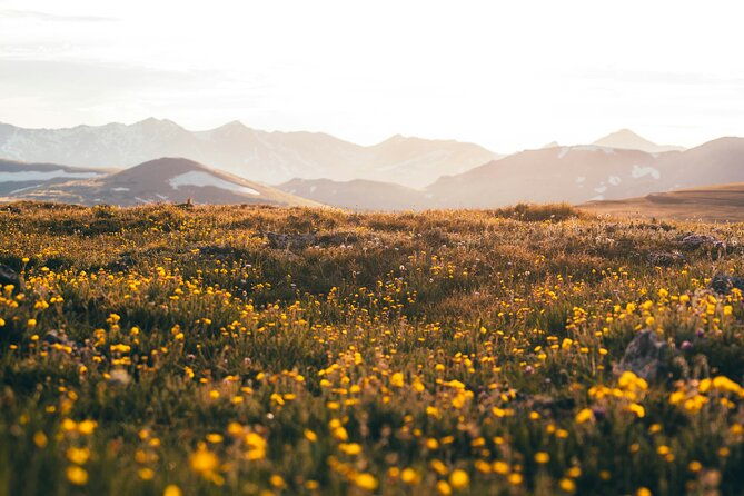 rocky-mountain-full-day-private-tour-hike-from-denver-boulder