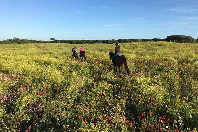 rome-private-horseback-riding-experience-on-the-beach