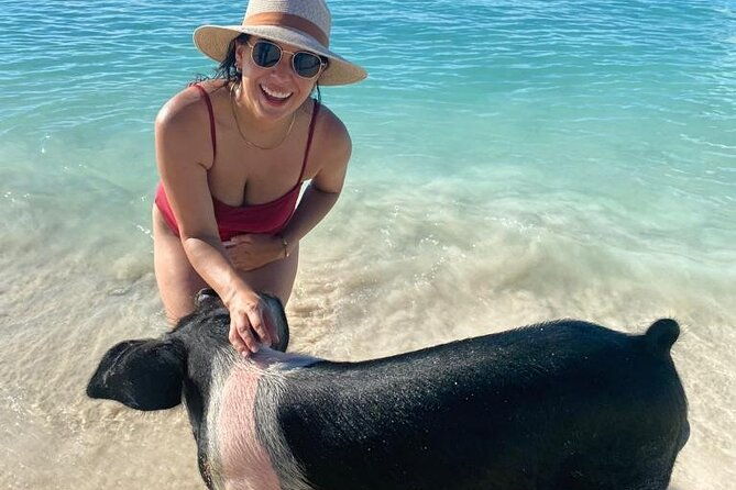 rose-island-private-beach-swimming-with-the-pigs