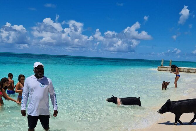 rose-island-swimming-pigs-half-day-boat-tour-with-lunch