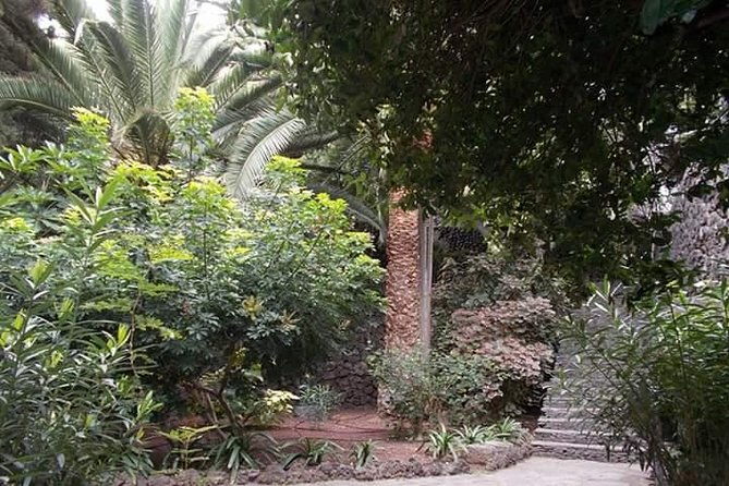 round-the-island-trip-without-teide-vip-tour