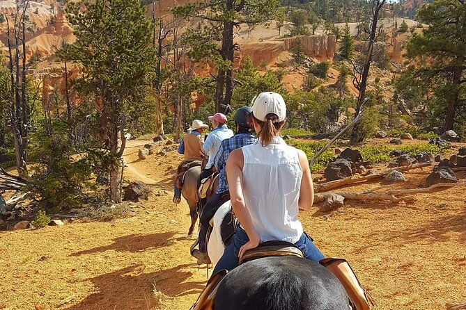 rubys-horseback-adventures-utah-thunder-mt-4-hour-ride-2