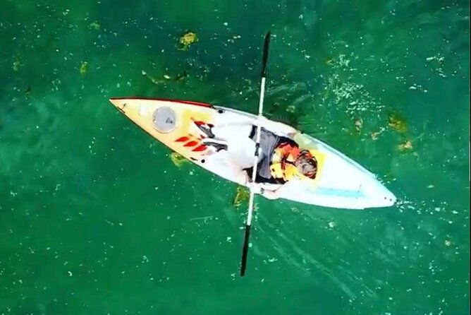 safari-kayak-adventure-w-bbq-beer