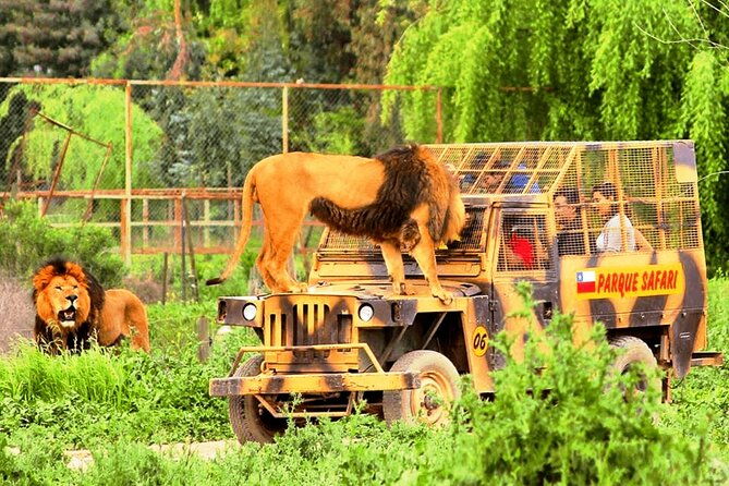 safari-park-wild-experience
