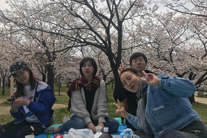 sakura-picnic-hanami-in-osaka-spring-only-2