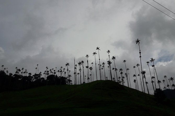 salento-valley-of-cocora-and-filandia