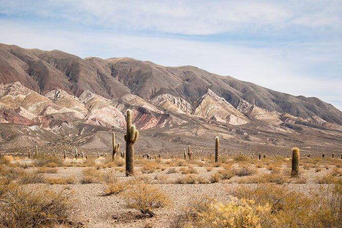 salta-calchaqui-valley-scenic-drive-and-day-trip-to-cachi