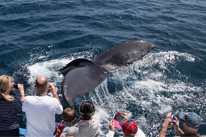 san-diego-explorer-pass-save-up-to-50-includes-san-diego-zoo