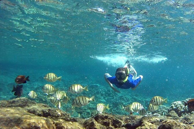 san-juan-guided-snorkeling-experience-with-transport-8am-or-3pm