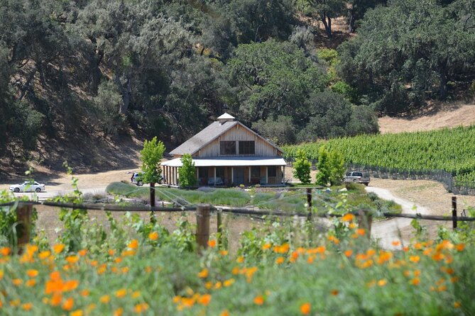 santa-barbara-wine-tour-experience-authentic-and-boutique