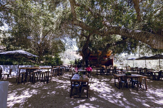 santa-ynez-wine-tour-with-tastings-and-lunch-from-santa-ynez