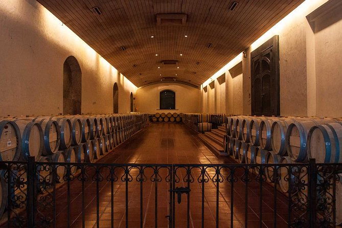 santiago-half-day-visit-to-concha-y-toro-vineyard-include-entrace-transport