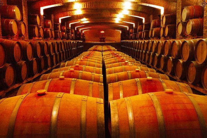 santiago-half-day-visit-to-undurraga-vineyard-entrance-and-transport-included