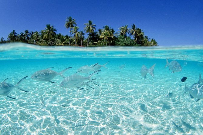 saona-island-day-tour-2