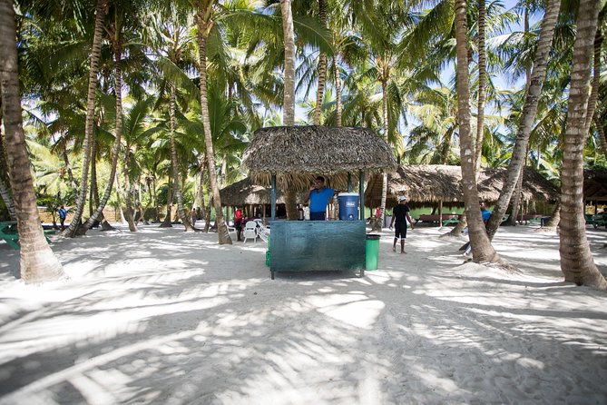 saona-island-day-trip-from-punta-cana-with-lunch-and-open-bar