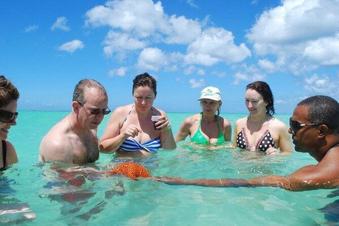 saona-island-full-day-excursion-from-punta-cana-catamaran-party