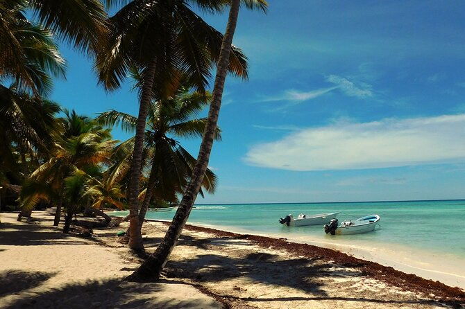 saona-island-tour-from-juan-dolio-with-pickup