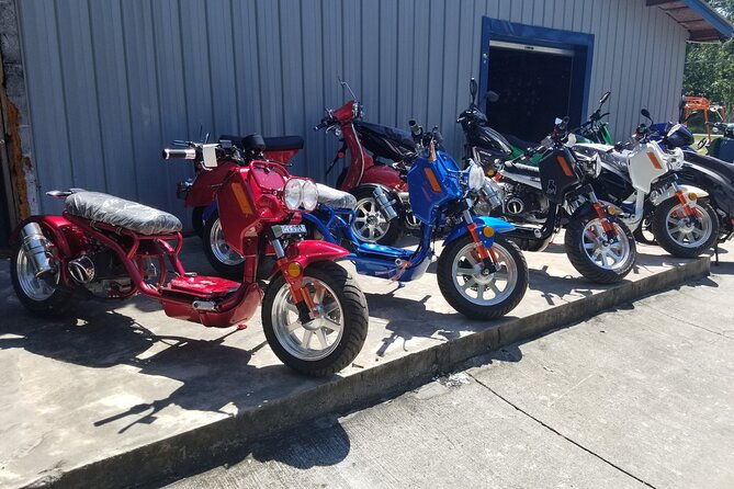 savannah-scooter-and-trike-rental-with-helmet-2