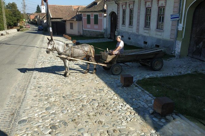 saxon-heritage-in-transylvania-day-trip-from-cluj-napoca