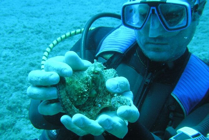 scuba-dive-kallitheas-underwater-exploration