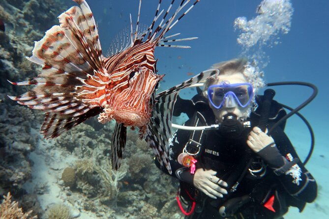 scuba-diving-experience-musan-dive-free-edited-video-2xdives