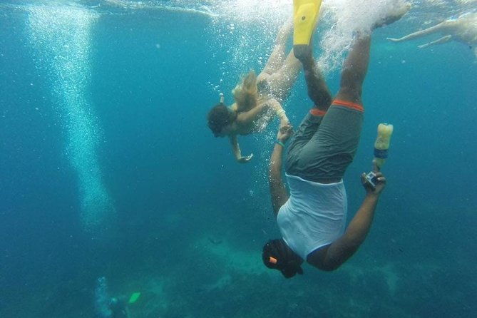 scuba-diving-snorkeling-on-catalina-island-2-tanks-2-spots