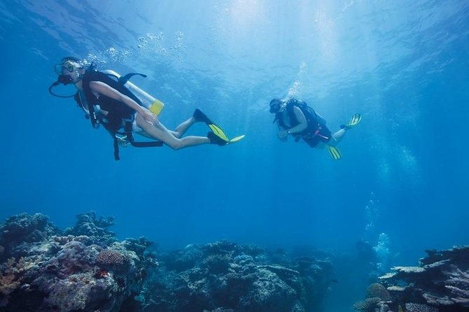 scuba-diving-tour-from-kusadasi-selcuk