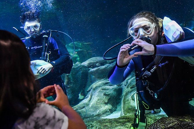 sea-life-aquarium-arizona-admission-ticket
