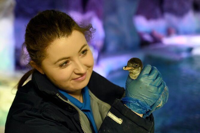 sea-life-birmingham-admission-ticket-3