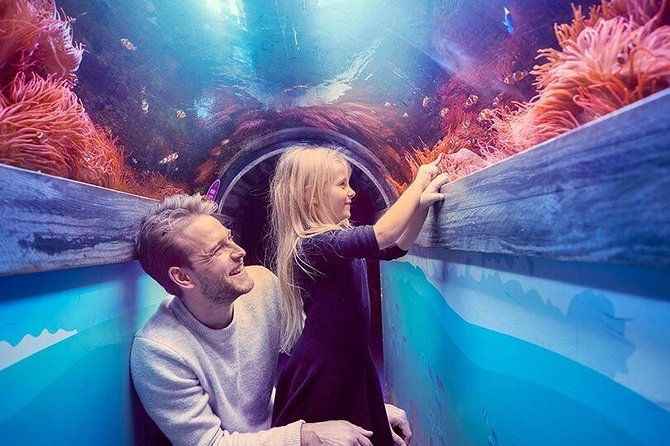 sea-life-brighton-admission-ticket