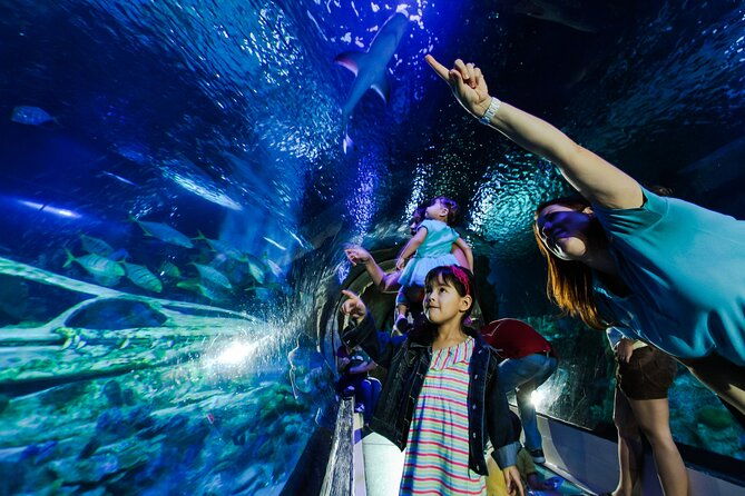 sea-life-charlotte-concord-aquarium-admission-ticket