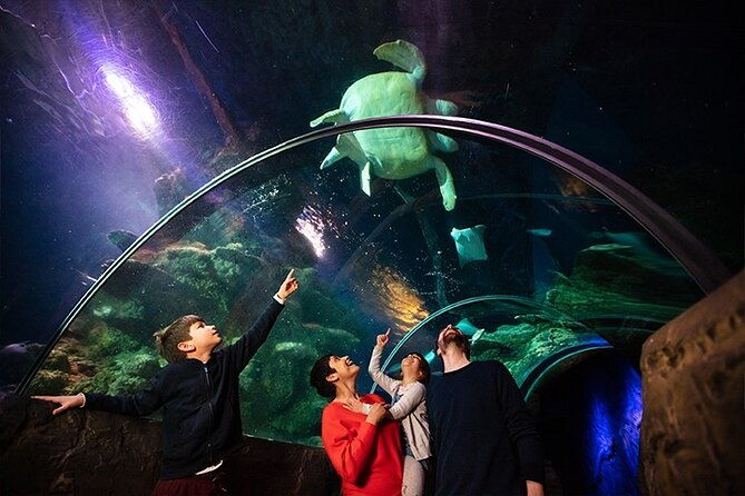 sea-life-london-aquarium-admission-ticket